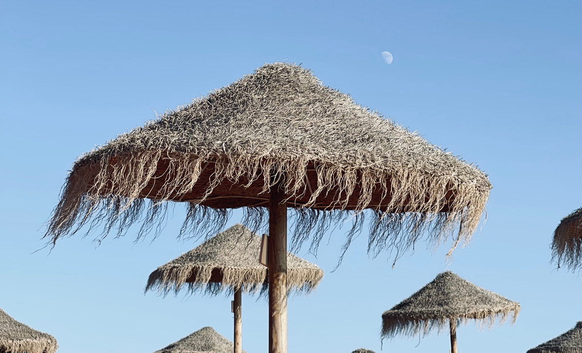 Must-visit places in Comporta featuring straw beach umbrellas under a clear blue sky.