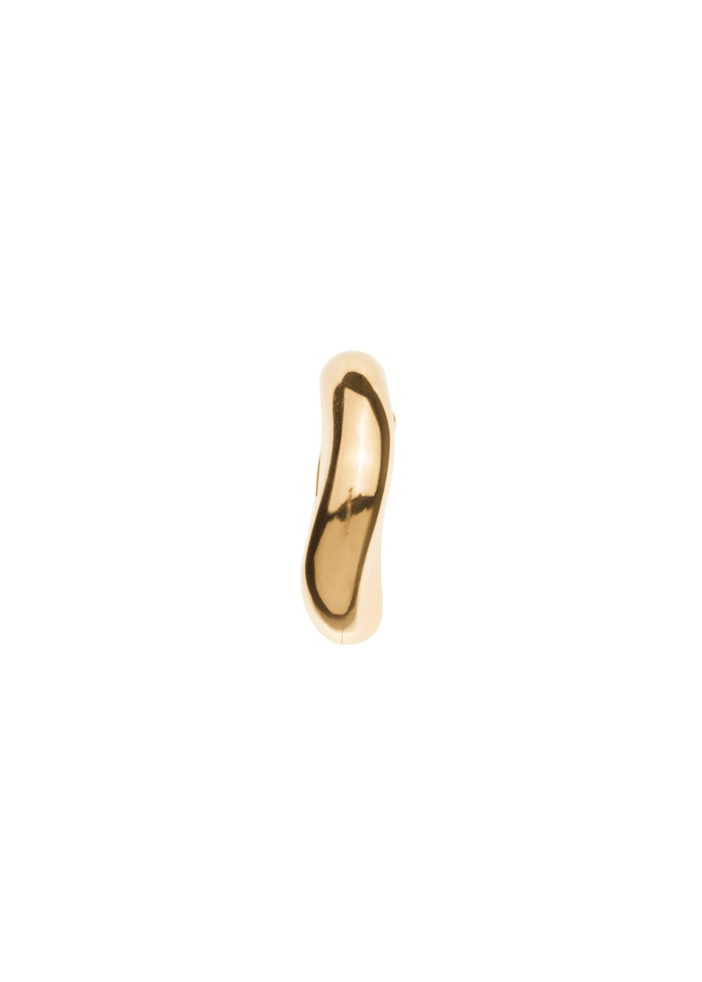 Bailey earrings Earrings