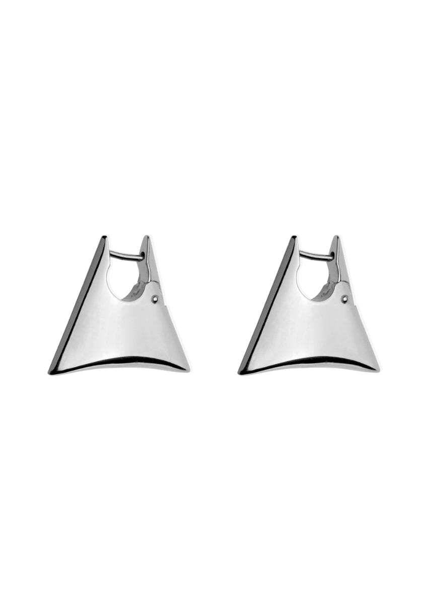Blake earrings Earrings