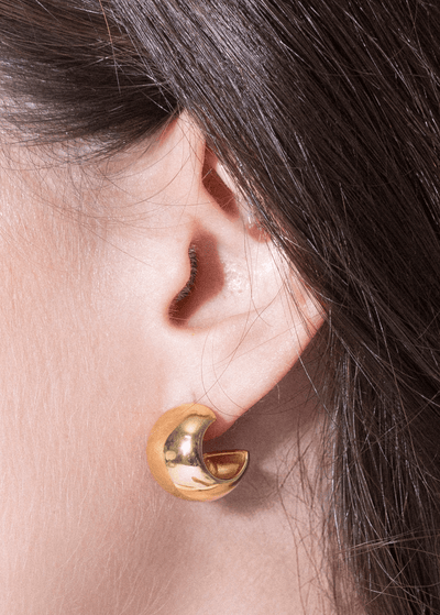 Gina earrings Earrings