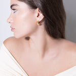 gina earrings earrings