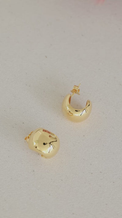 Gina earrings Earrings